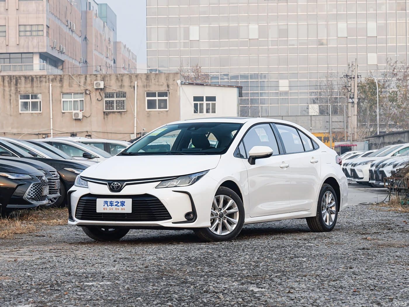 Toyota Corolla 1.2T 2025 blanche, vue trois-quarts avant — berline essence à l’export